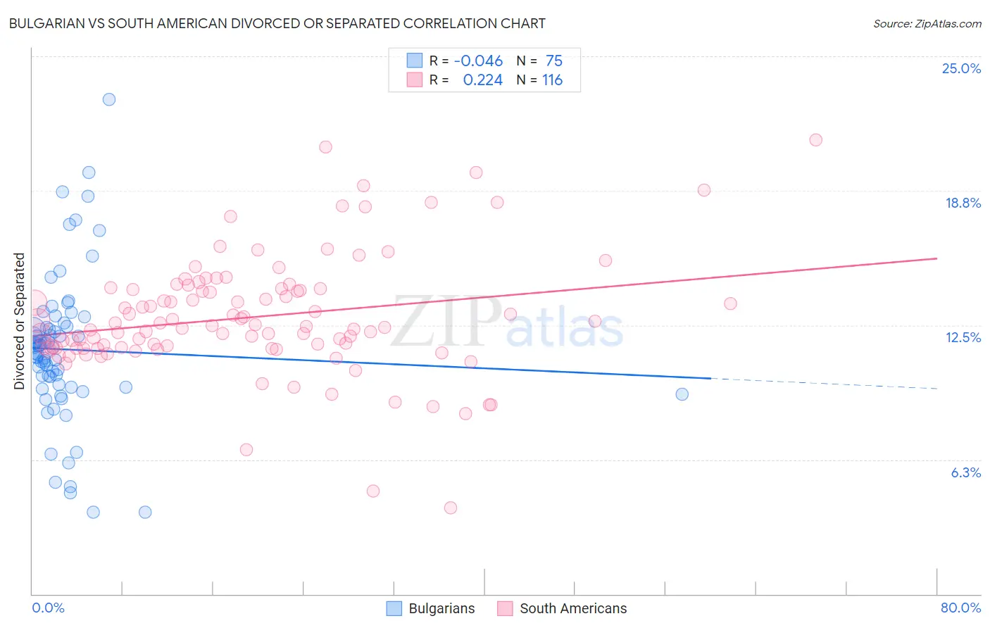 Bulgarian vs South American Divorced or Separated