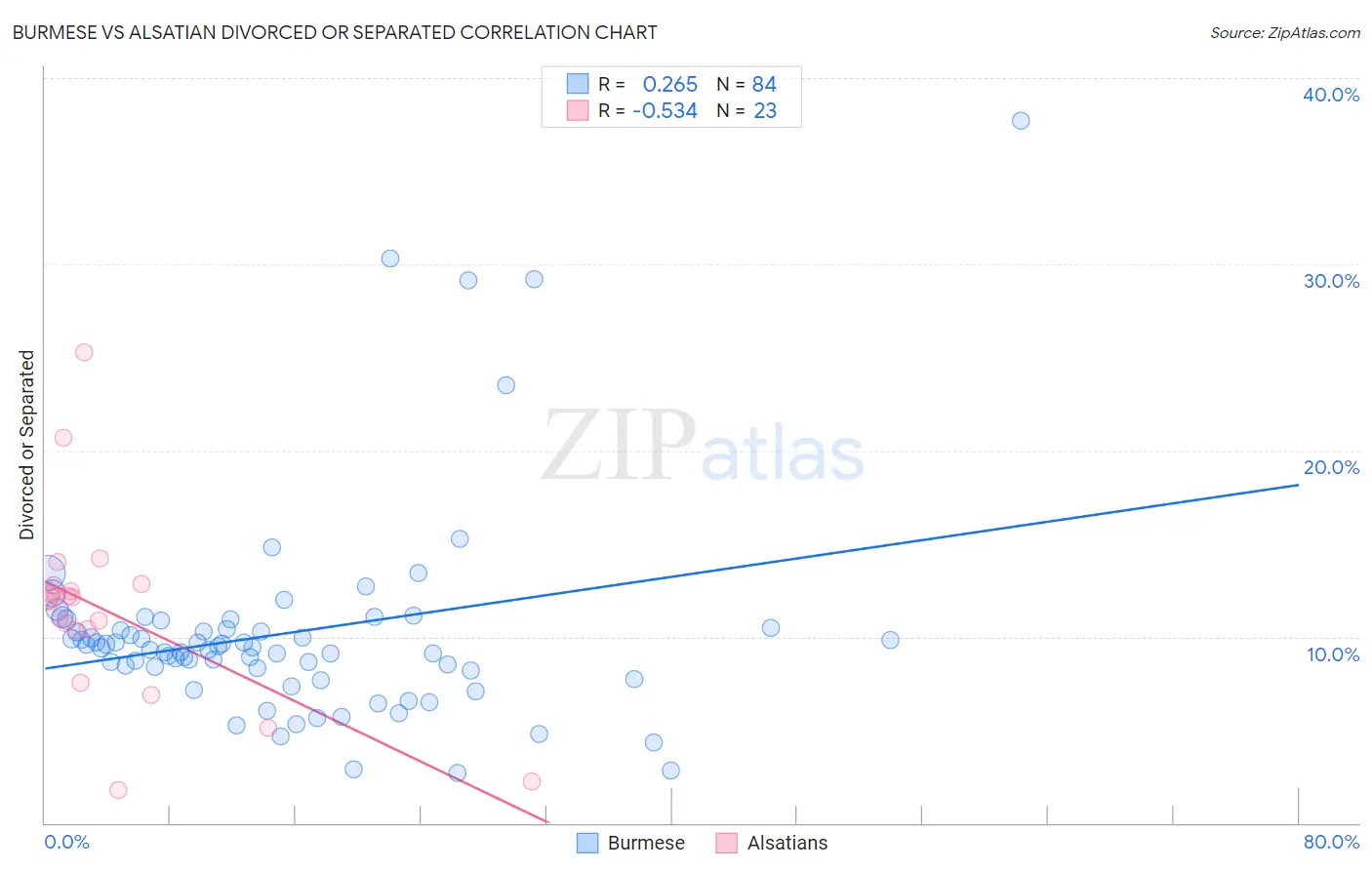Burmese vs Alsatian Divorced or Separated