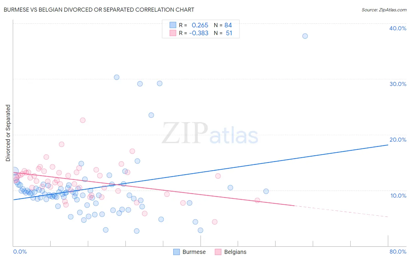 Burmese vs Belgian Divorced or Separated