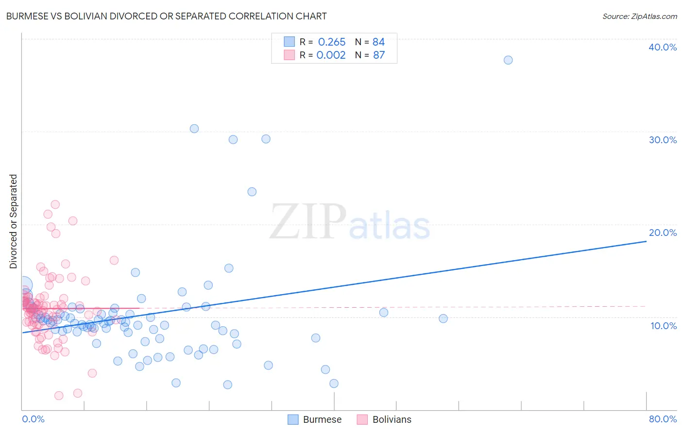 Burmese vs Bolivian Divorced or Separated