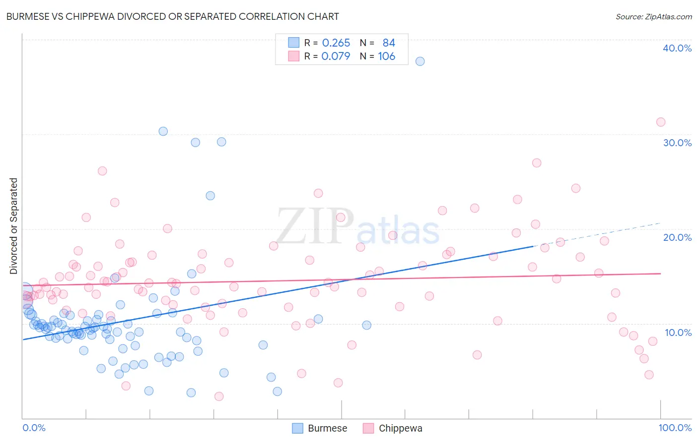 Burmese vs Chippewa Divorced or Separated