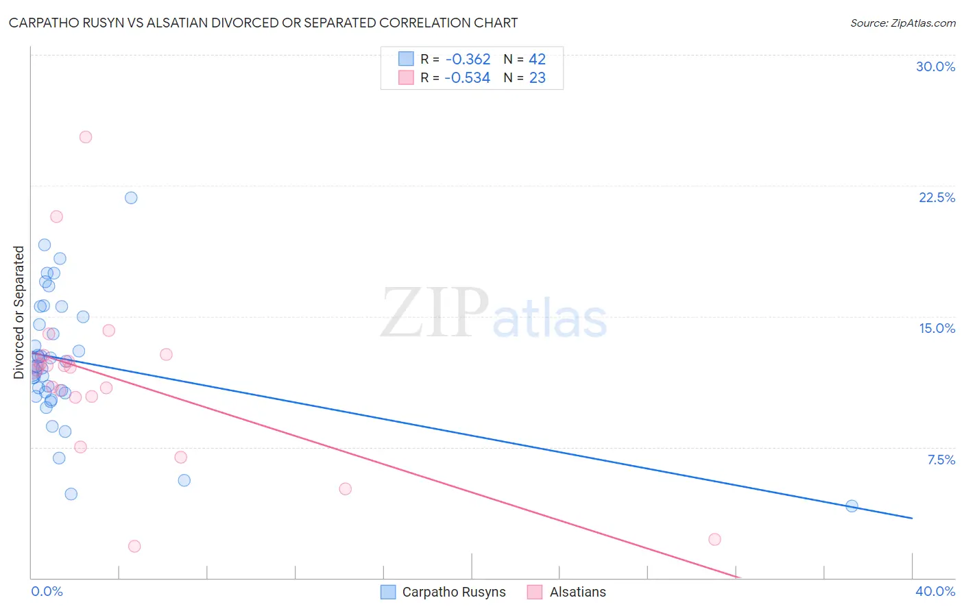 Carpatho Rusyn vs Alsatian Divorced or Separated