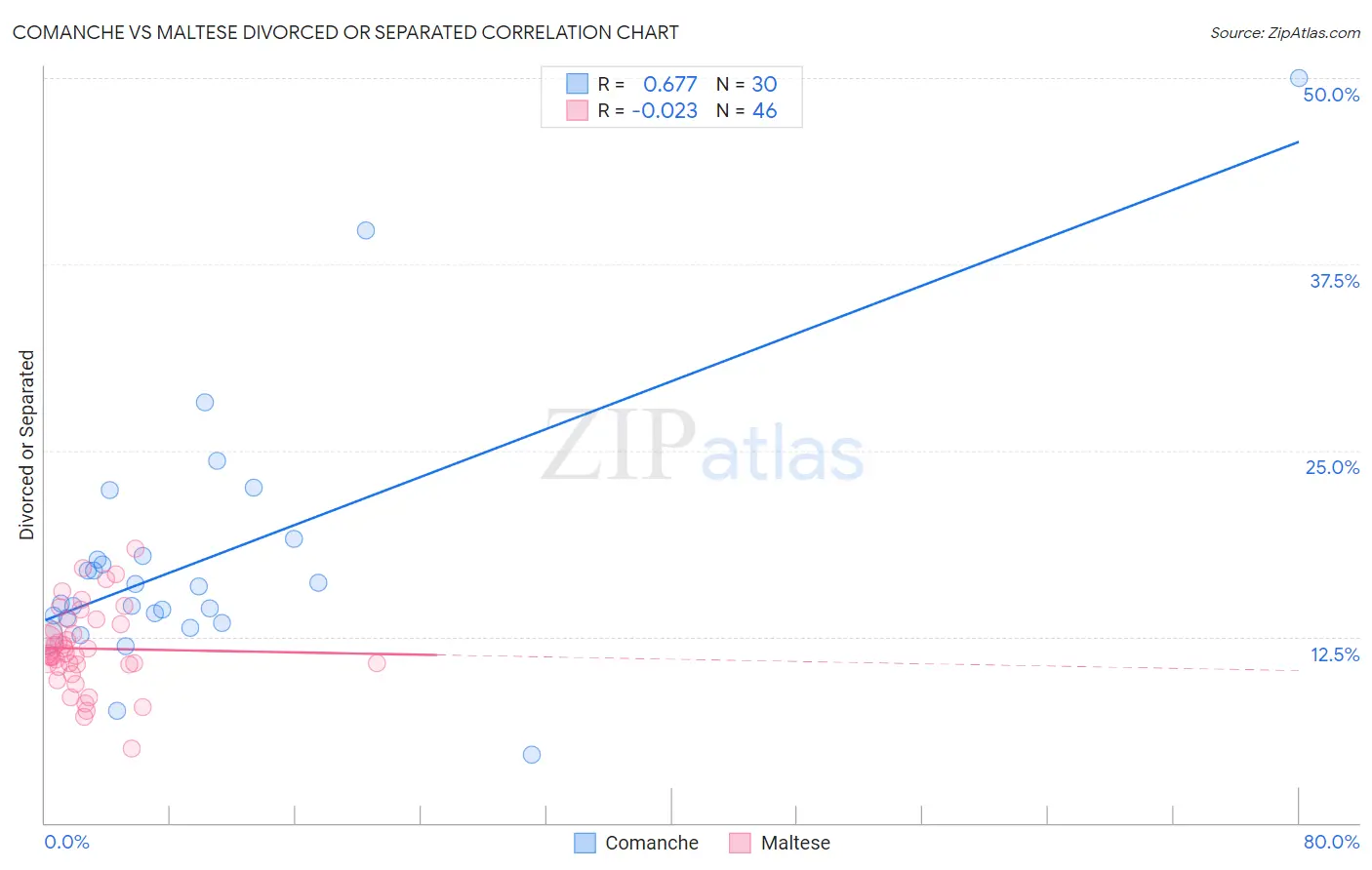 Comanche vs Maltese Divorced or Separated