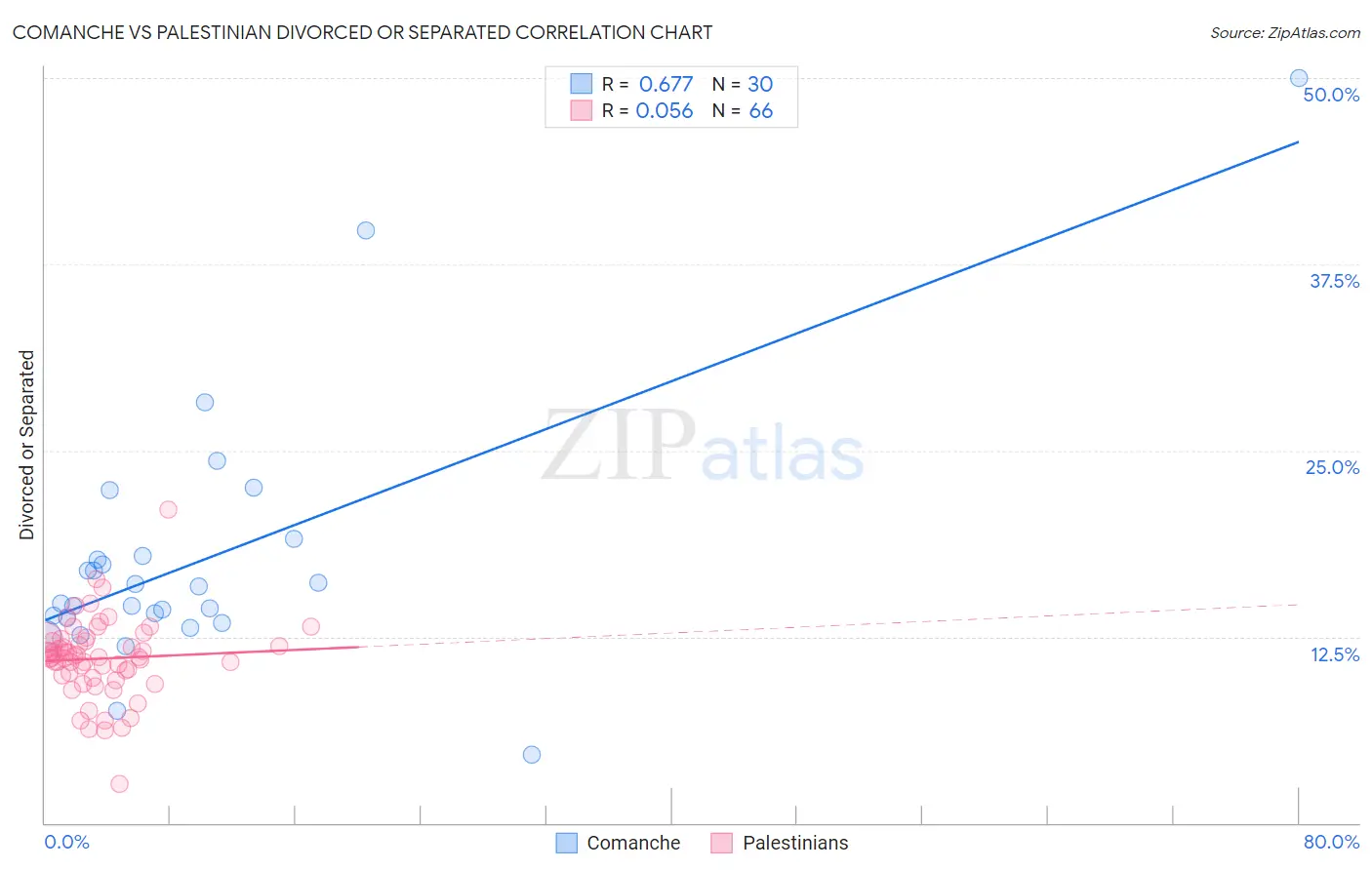 Comanche vs Palestinian Divorced or Separated