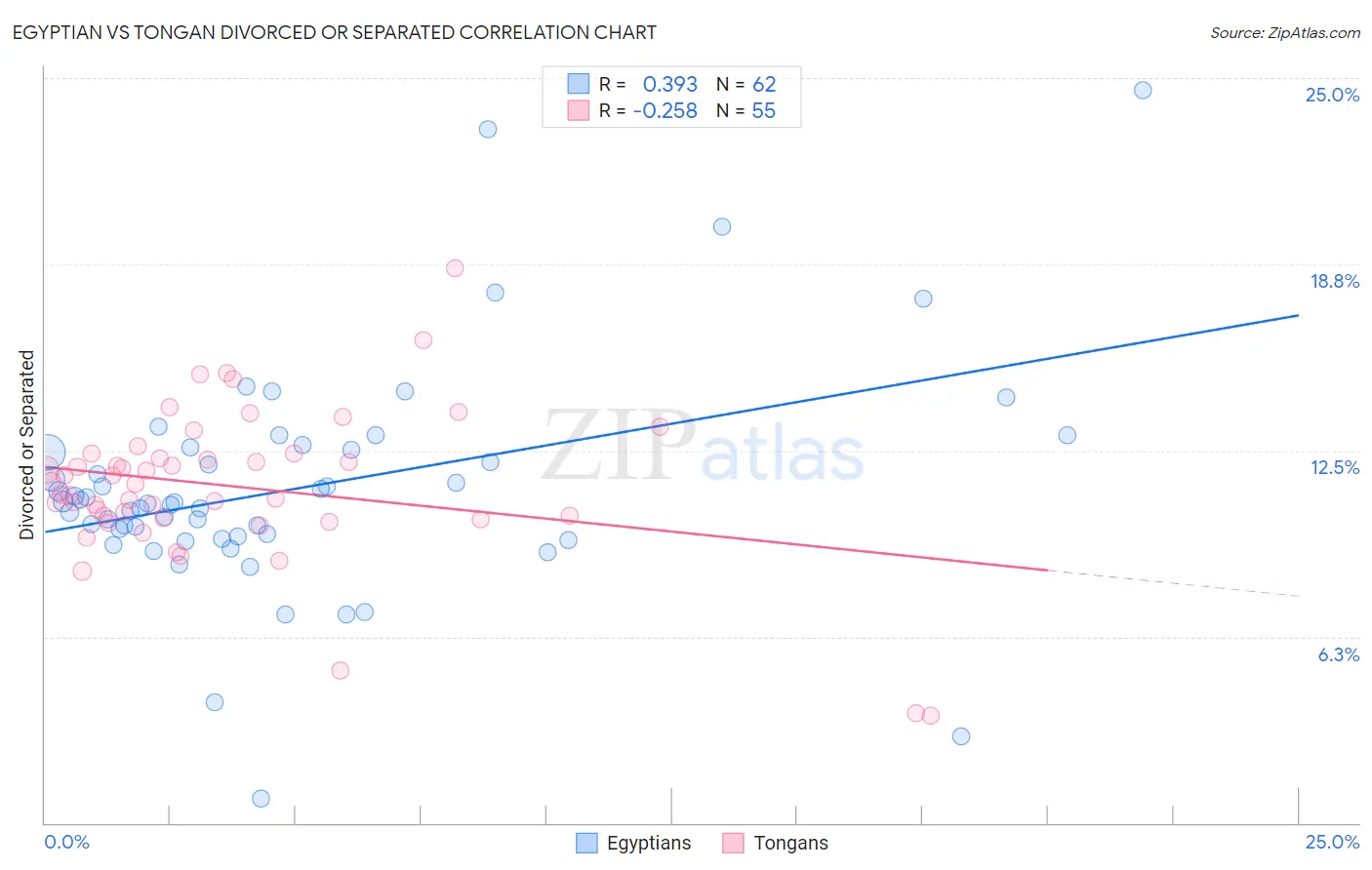 Egyptian vs Tongan Divorced or Separated