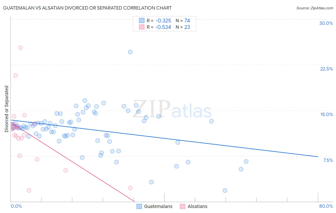 Guatemalan vs Alsatian Divorced or Separated