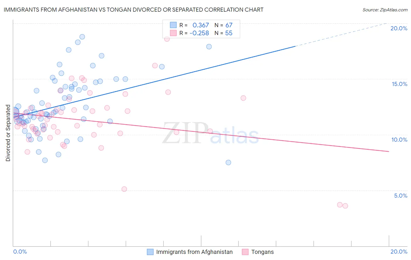 Immigrants from Afghanistan vs Tongan Divorced or Separated