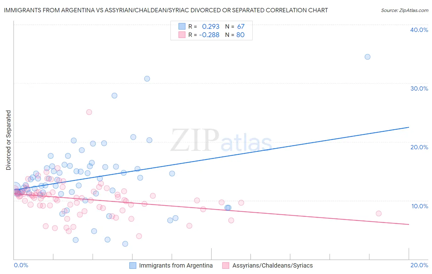 Immigrants from Argentina vs Assyrian/Chaldean/Syriac Divorced or Separated