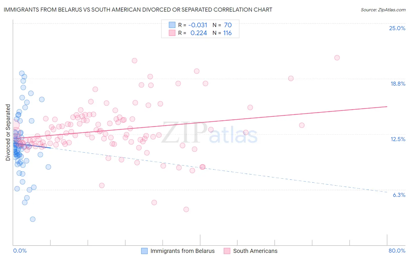 Immigrants from Belarus vs South American Divorced or Separated