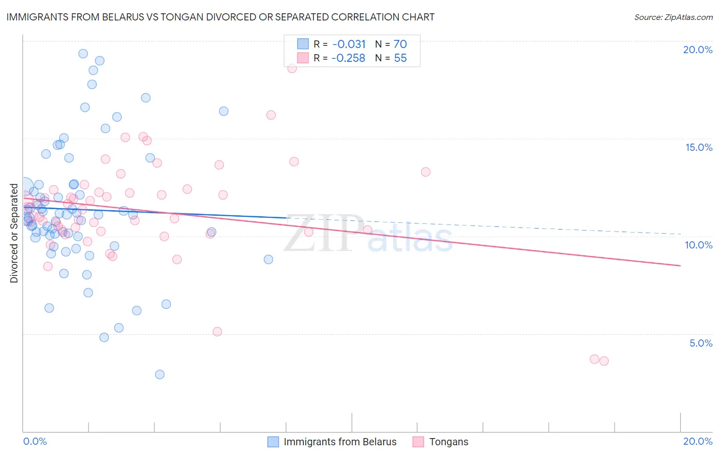 Immigrants from Belarus vs Tongan Divorced or Separated