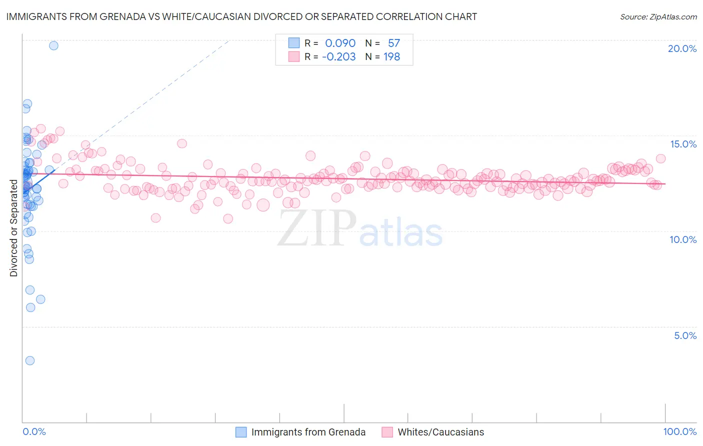 Immigrants from Grenada vs White/Caucasian Divorced or Separated