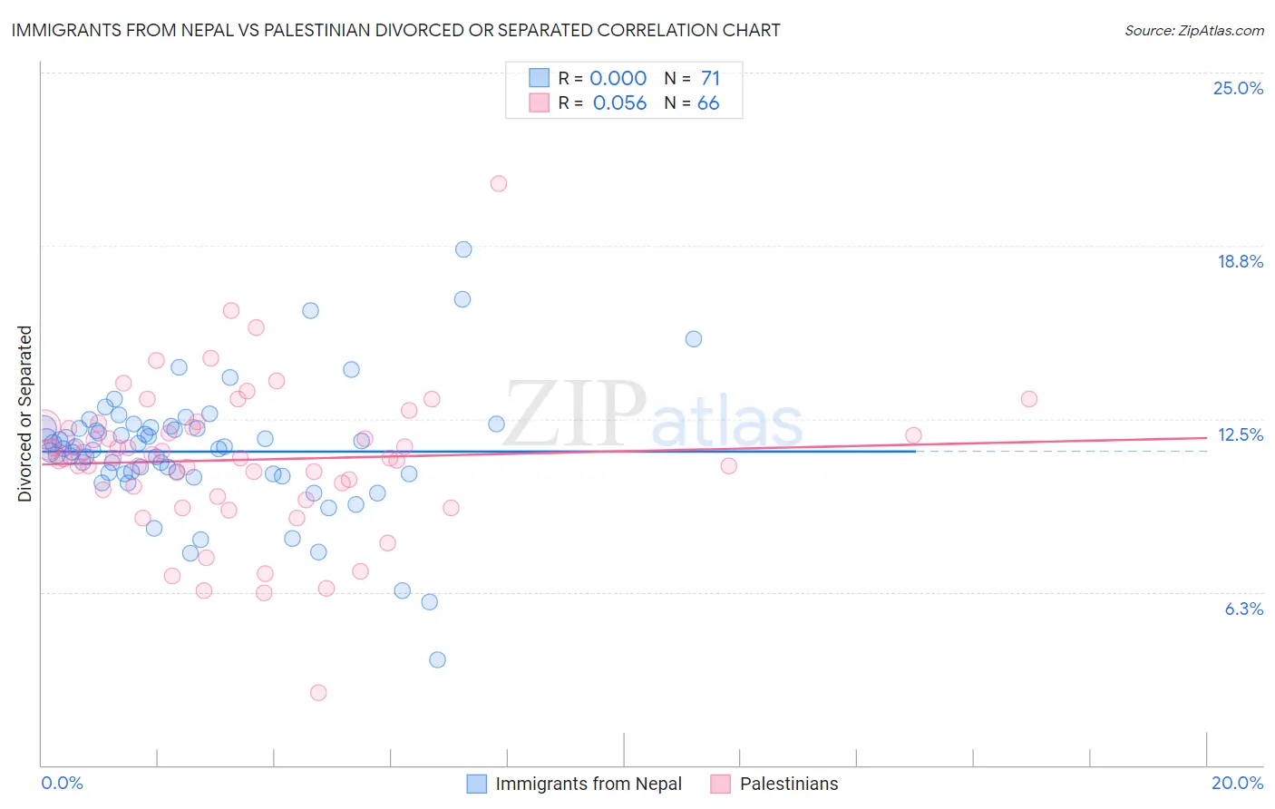 Immigrants from Nepal vs Palestinian Divorced or Separated