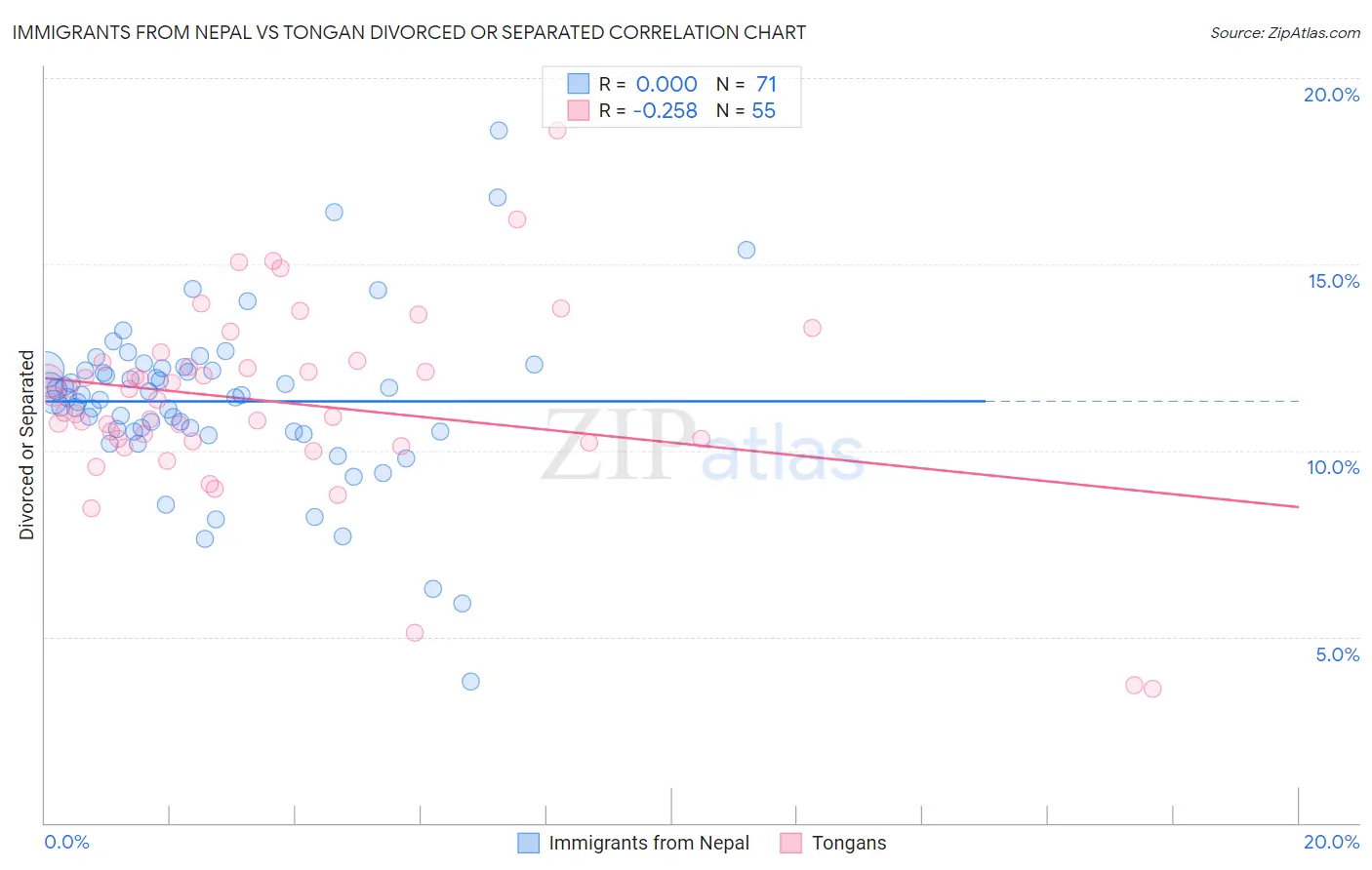 Immigrants from Nepal vs Tongan Divorced or Separated