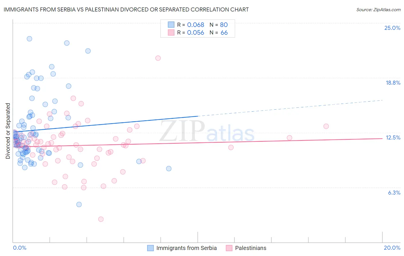 Immigrants from Serbia vs Palestinian Divorced or Separated