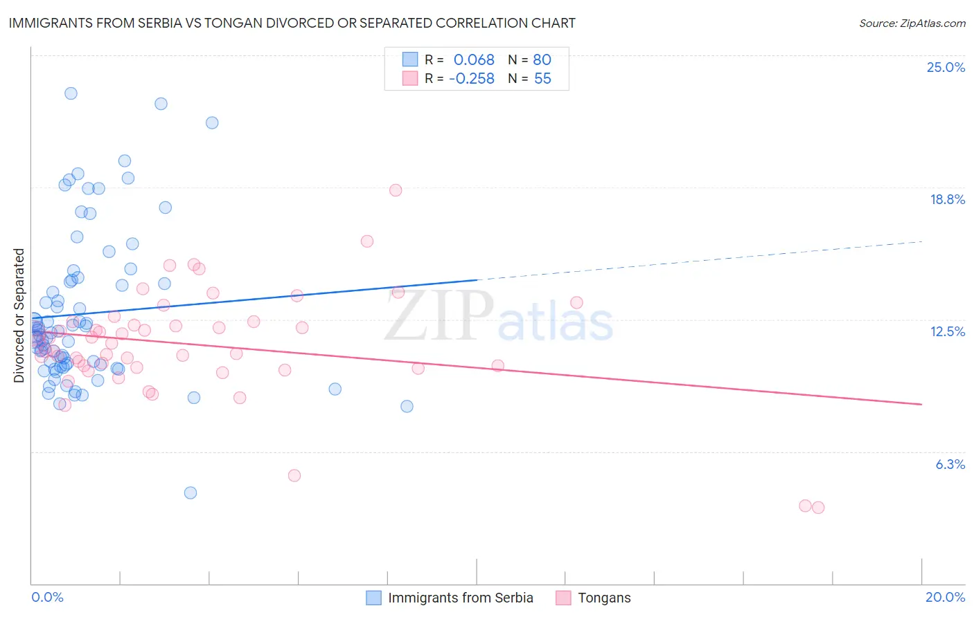 Immigrants from Serbia vs Tongan Divorced or Separated