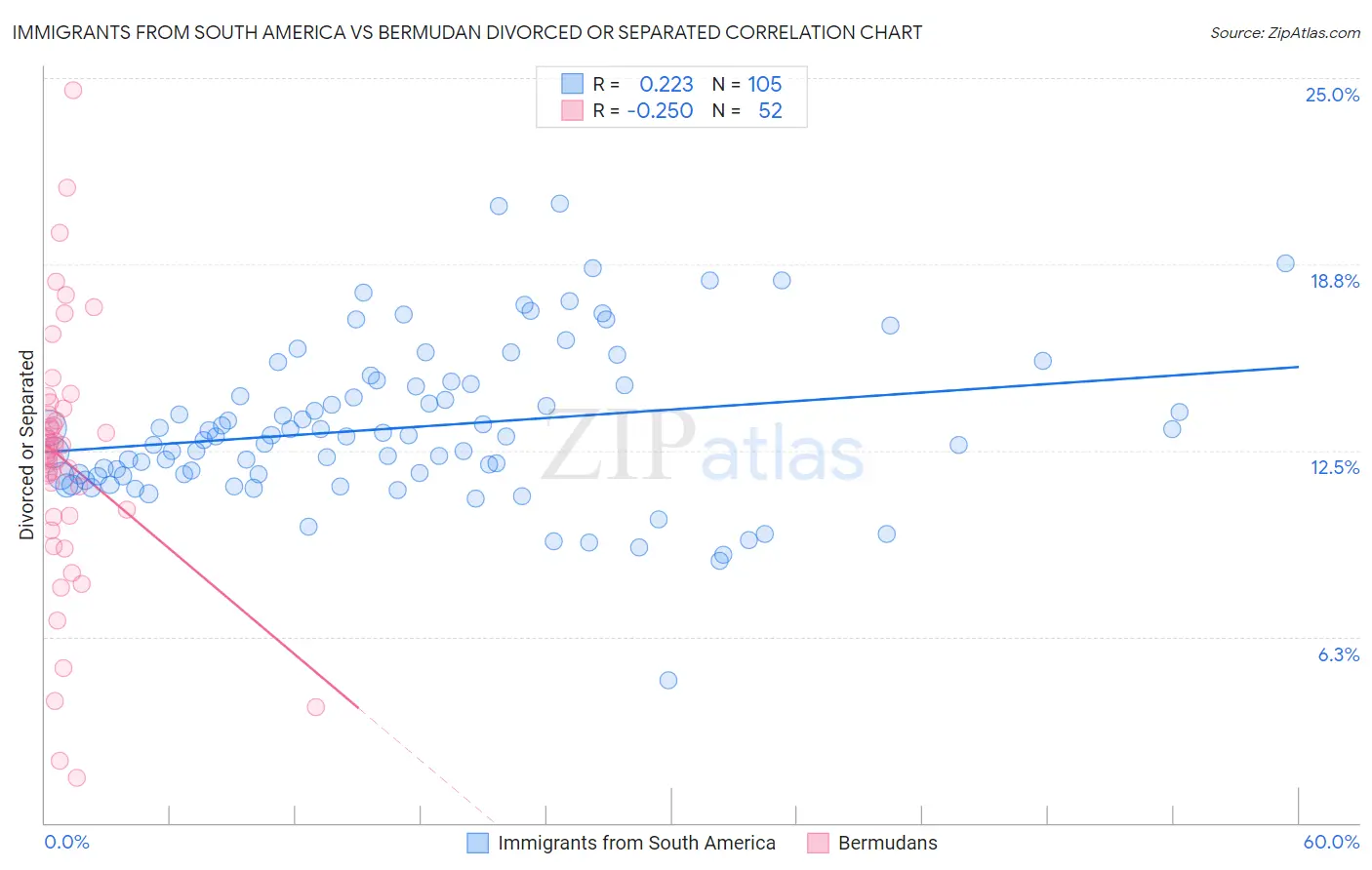 Immigrants from South America vs Bermudan Divorced or Separated
