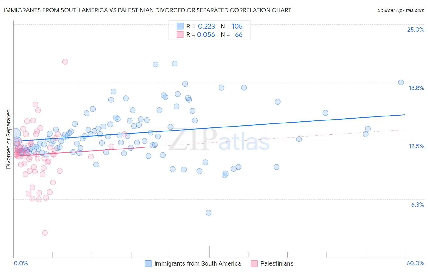 Immigrants from South America vs Palestinian Divorced or Separated