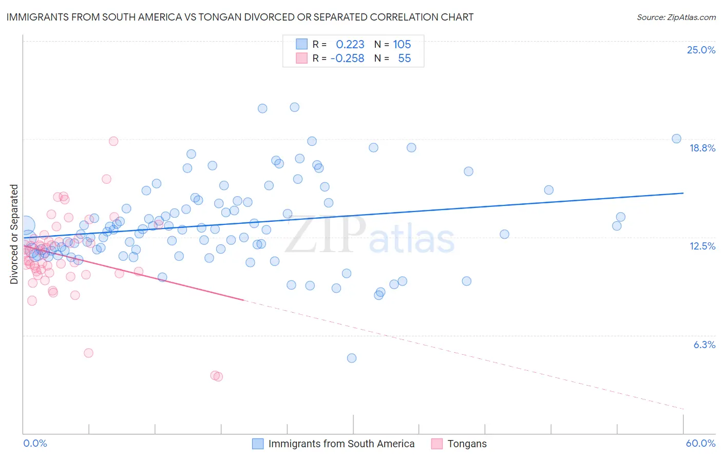 Immigrants from South America vs Tongan Divorced or Separated