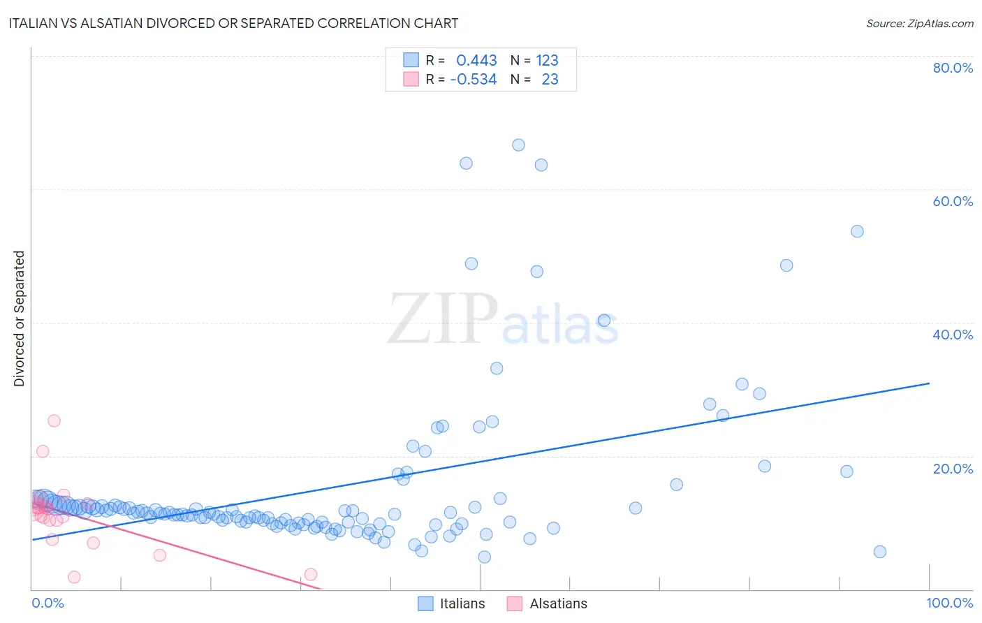 Italian vs Alsatian Divorced or Separated