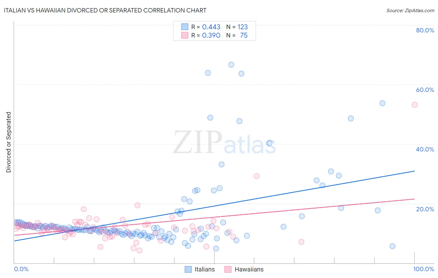 Italian vs Hawaiian Divorced or Separated