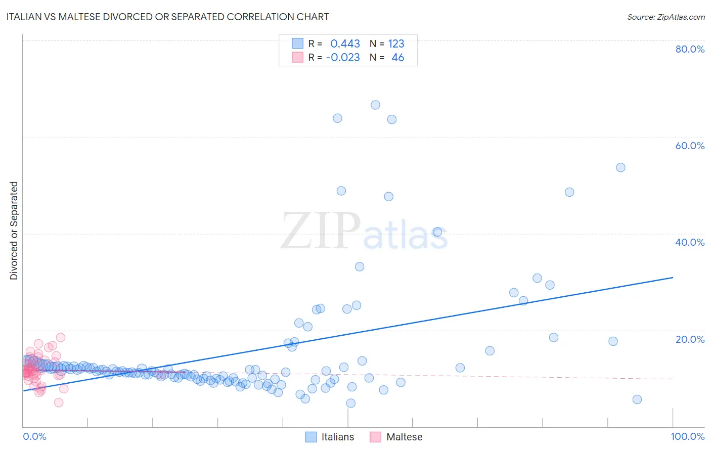 Italian vs Maltese Divorced or Separated