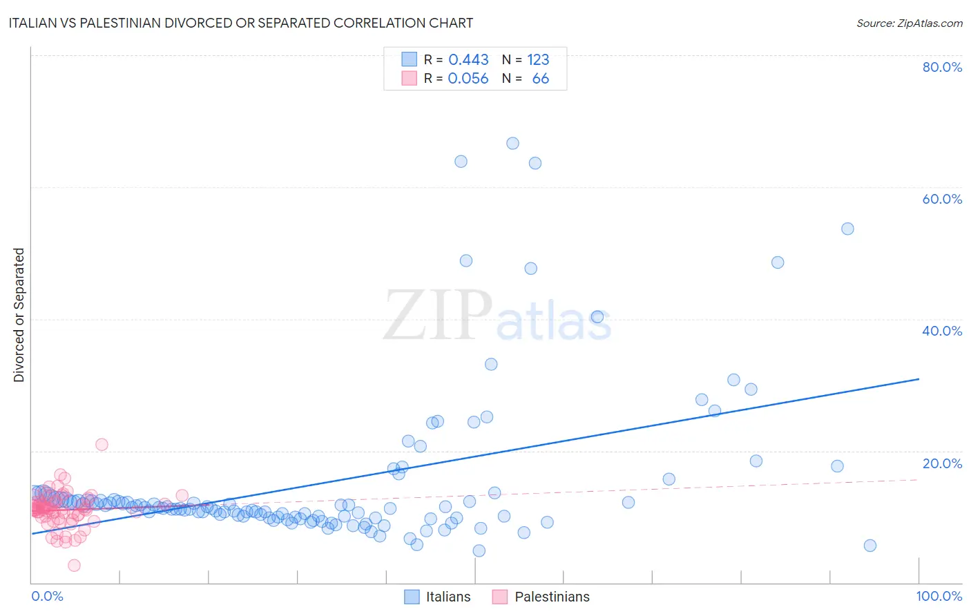 Italian vs Palestinian Divorced or Separated
