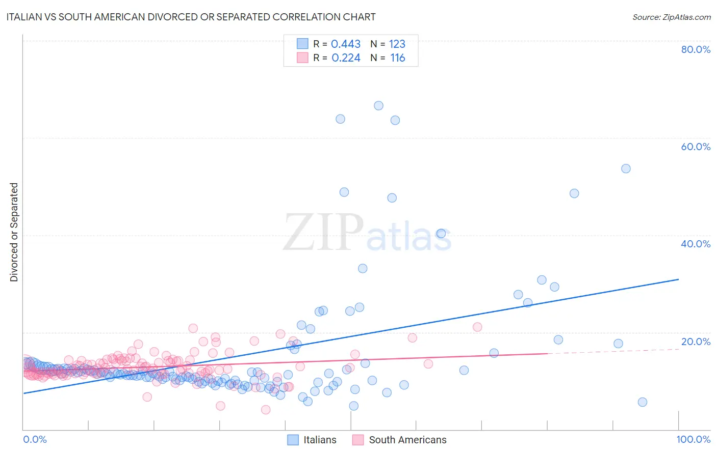 Italian vs South American Divorced or Separated