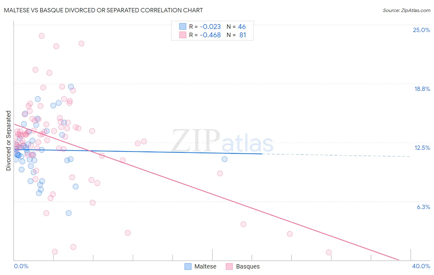 Maltese vs Basque Divorced or Separated
