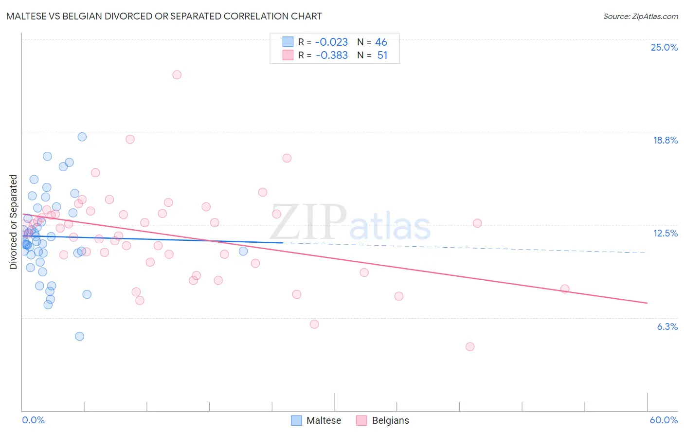 Maltese vs Belgian Divorced or Separated