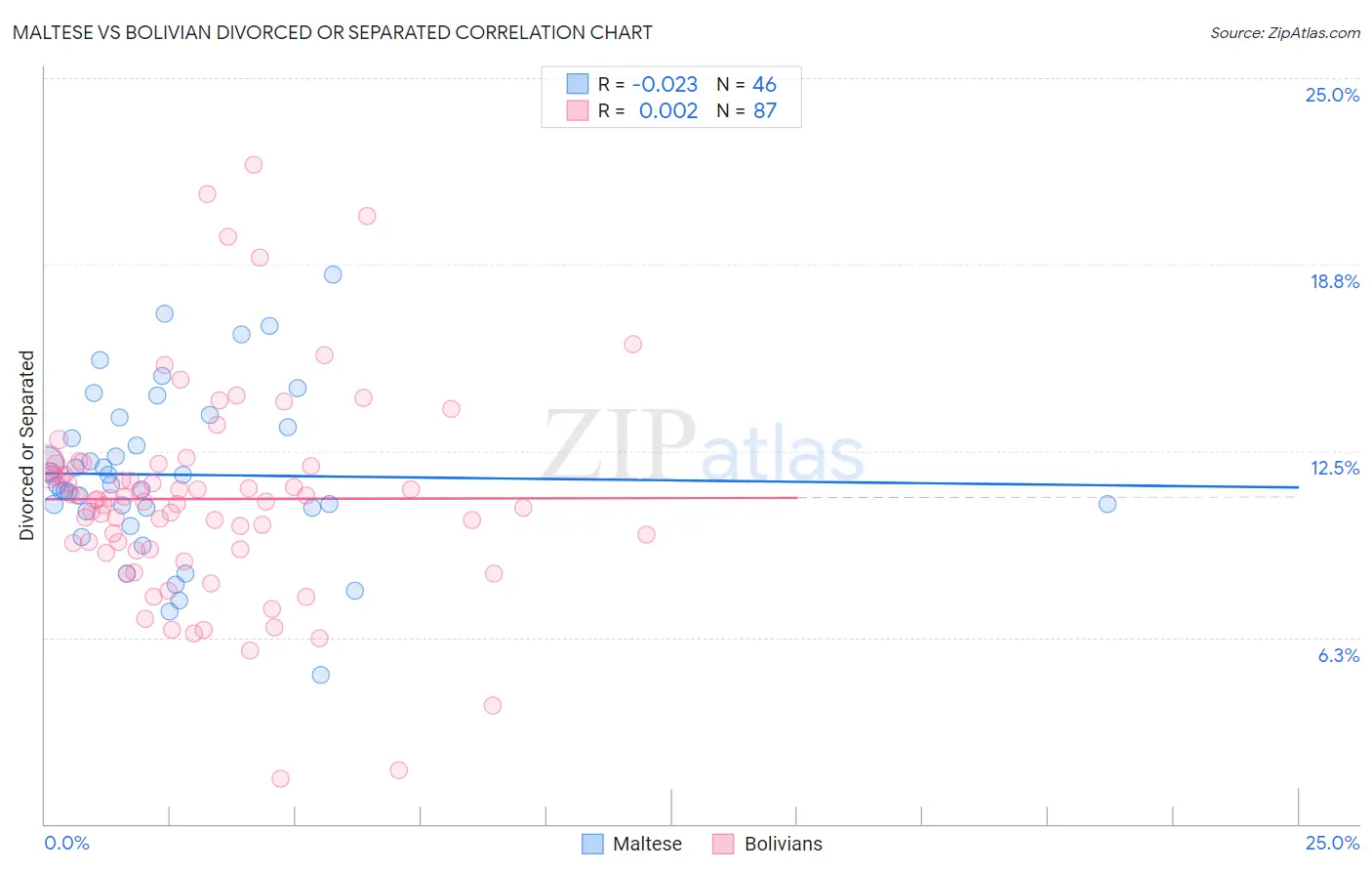 Maltese vs Bolivian Divorced or Separated