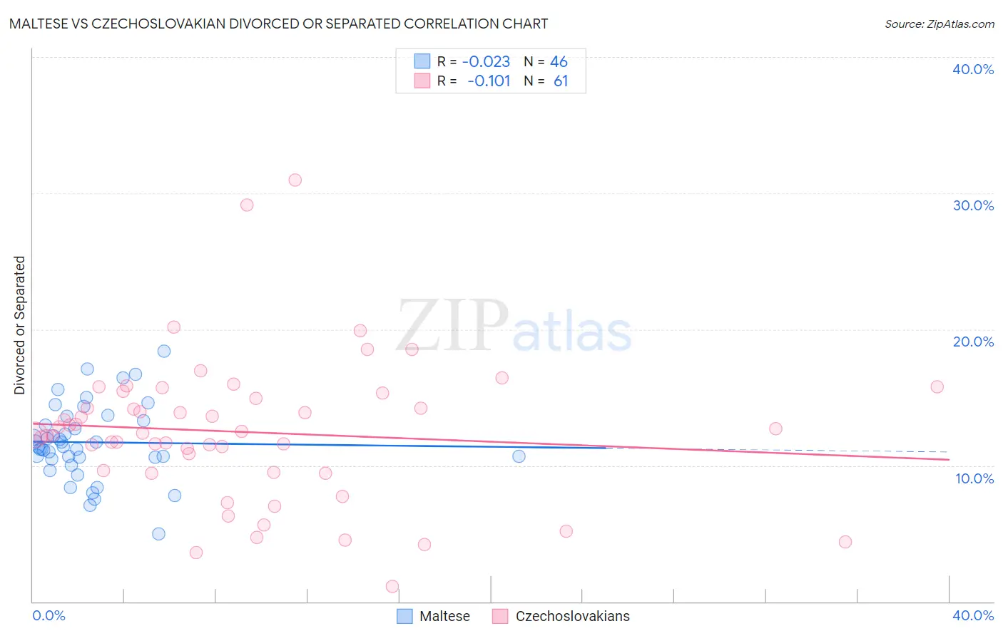 Maltese vs Czechoslovakian Divorced or Separated