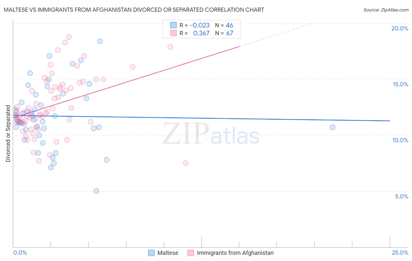 Maltese vs Immigrants from Afghanistan Divorced or Separated