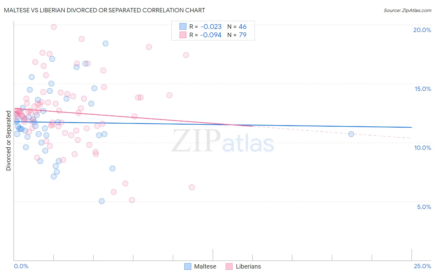 Maltese vs Liberian Divorced or Separated