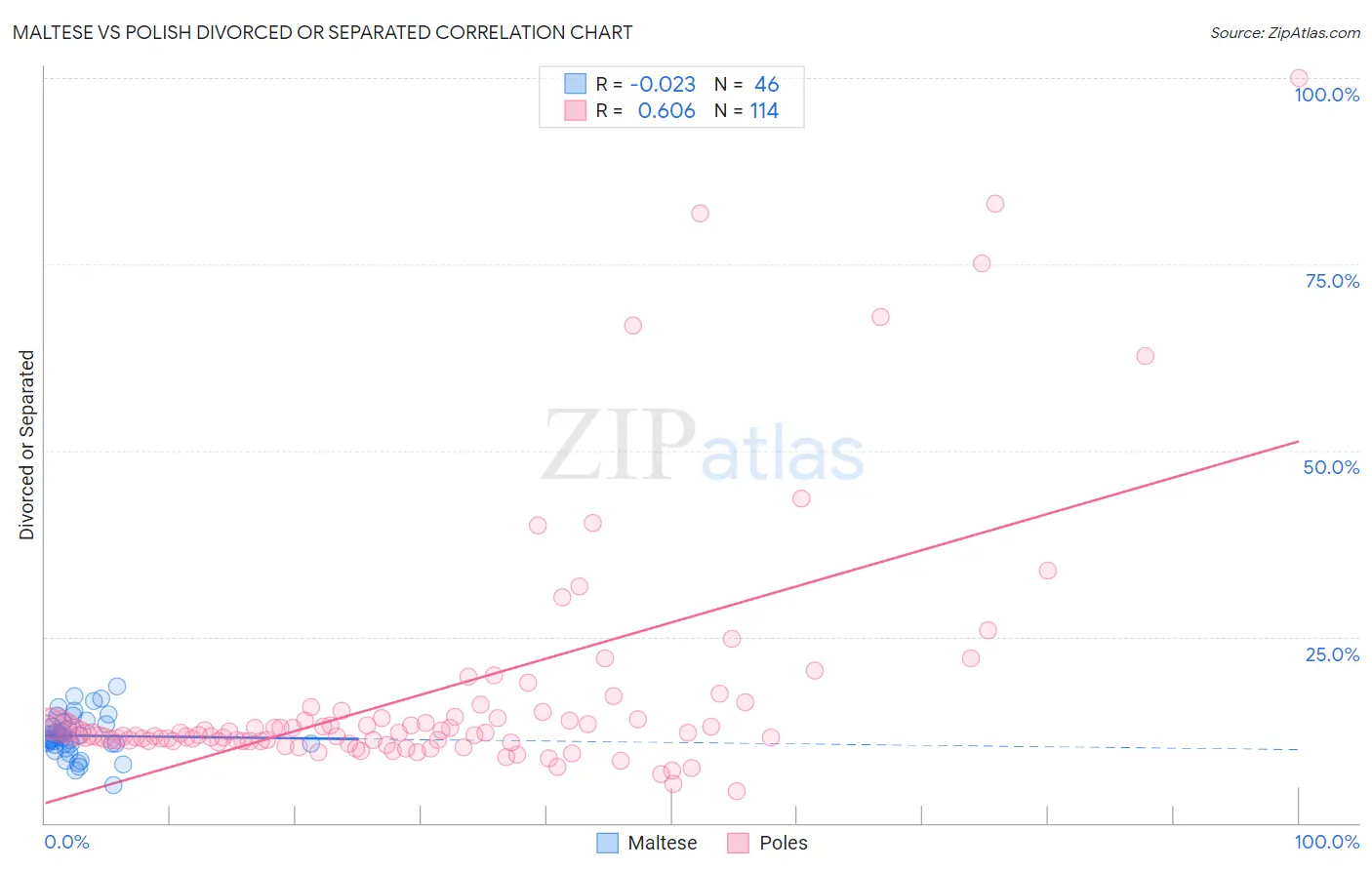 Maltese vs Polish Divorced or Separated
