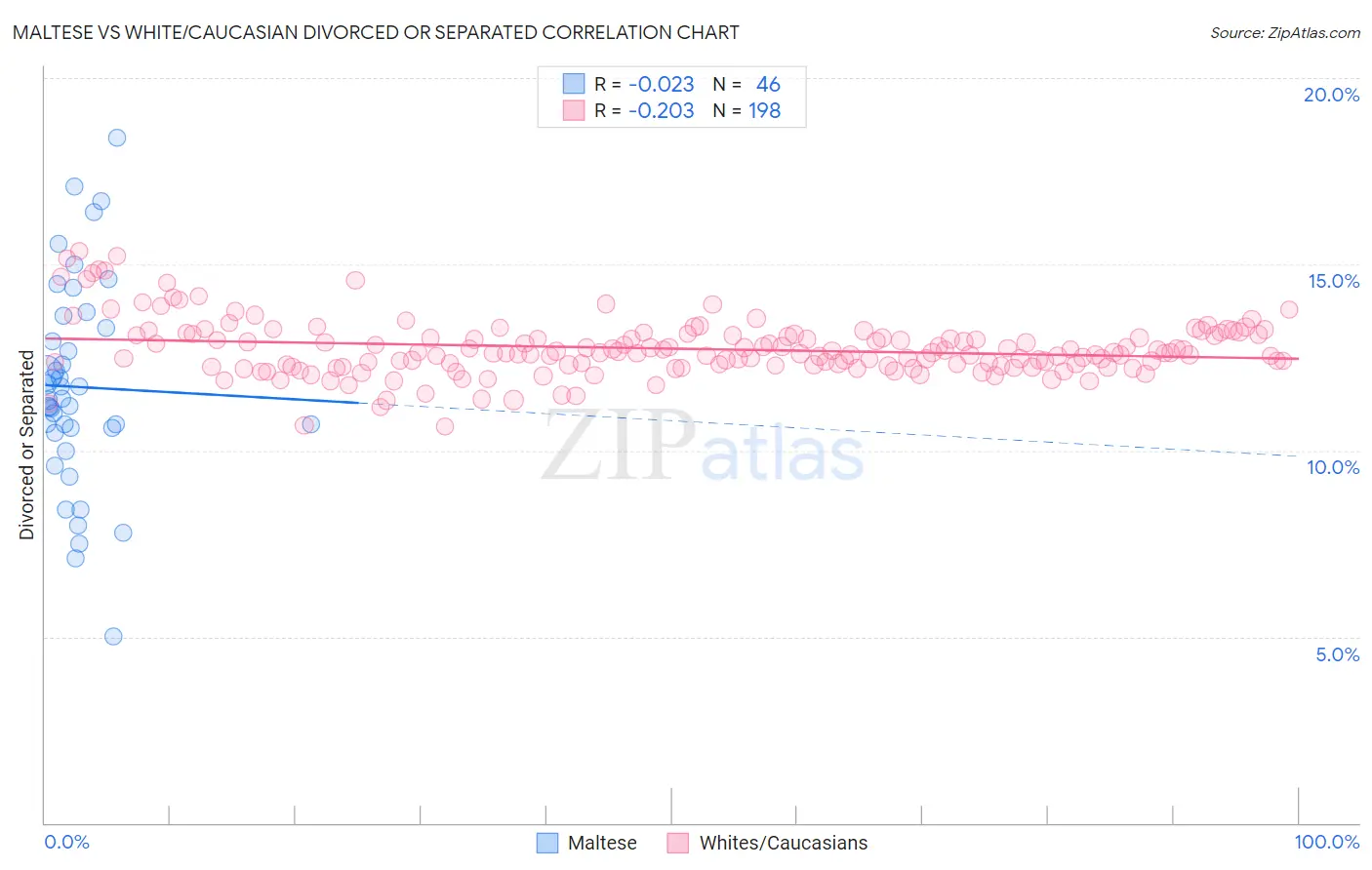Maltese vs White/Caucasian Divorced or Separated
