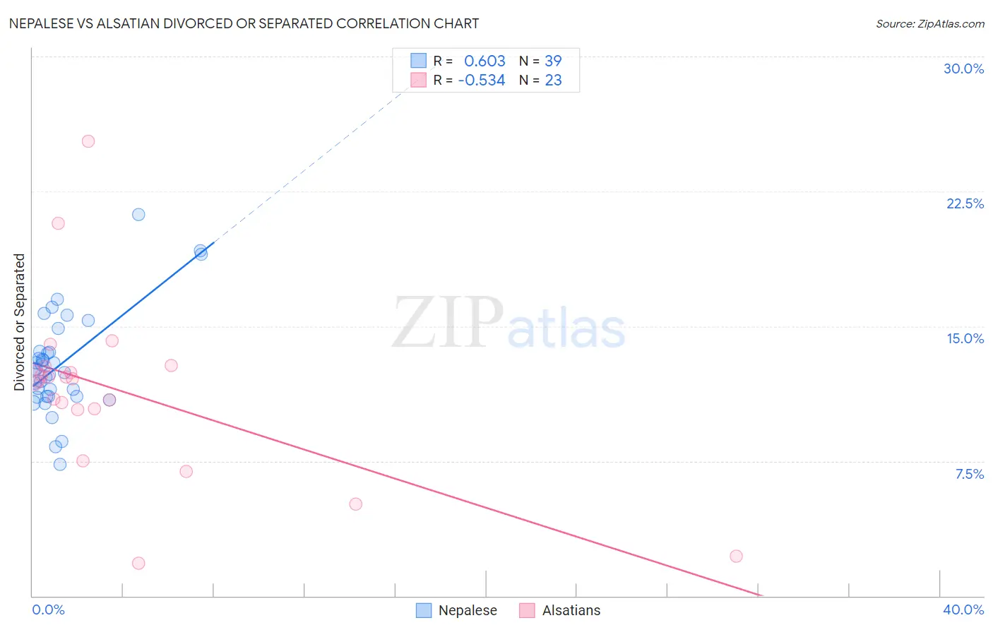 Nepalese vs Alsatian Divorced or Separated