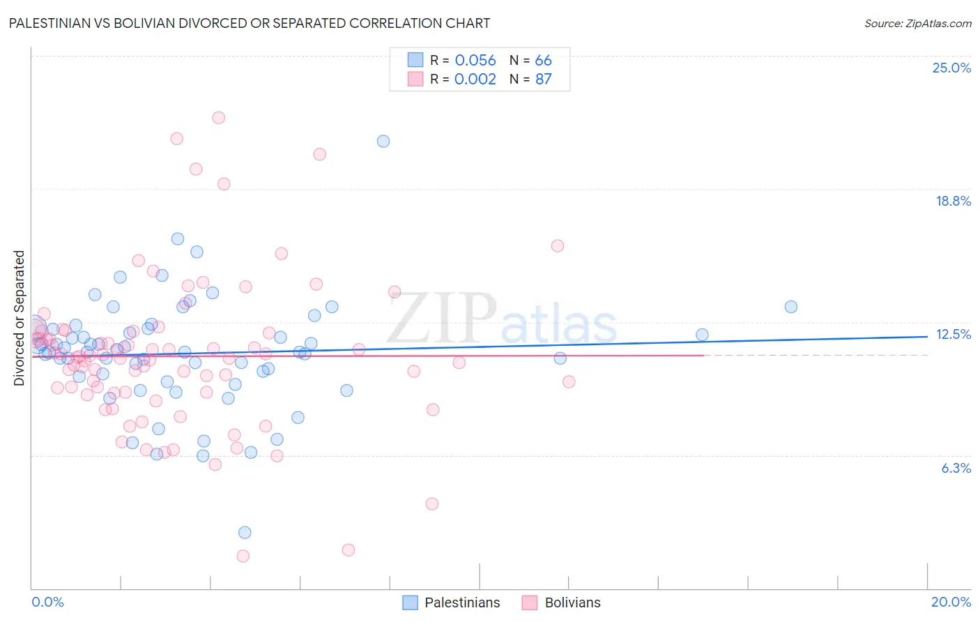 Palestinian vs Bolivian Divorced or Separated