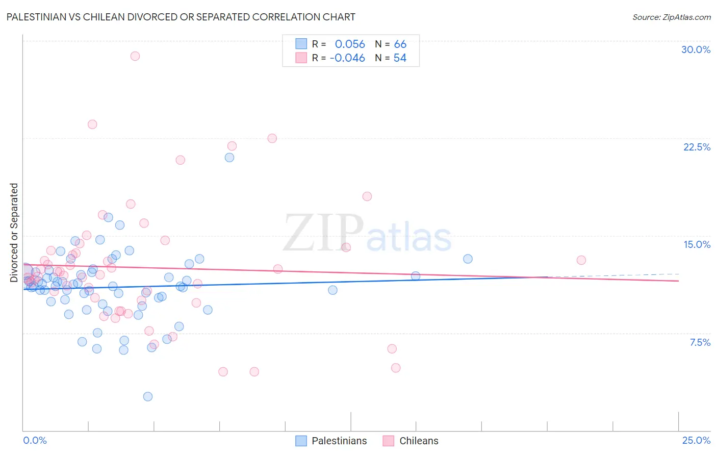 Palestinian vs Chilean Divorced or Separated