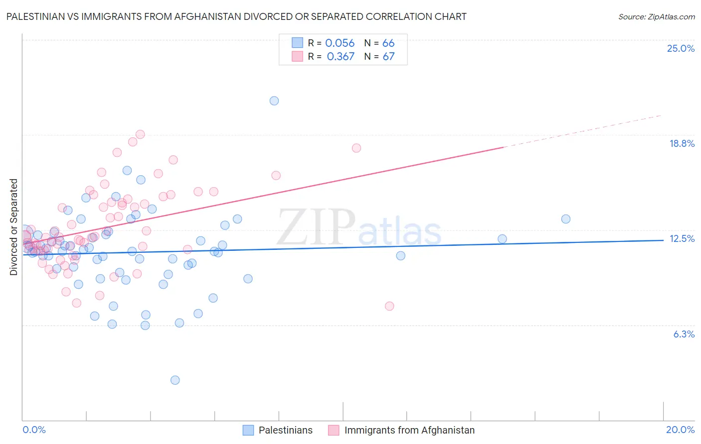 Palestinian vs Immigrants from Afghanistan Divorced or Separated
