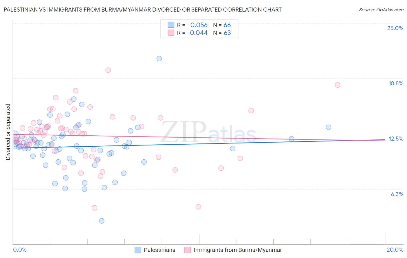 Palestinian vs Immigrants from Burma/Myanmar Divorced or Separated