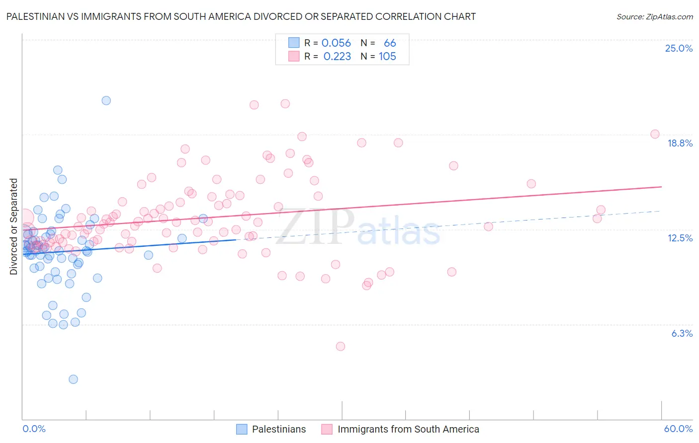 Palestinian vs Immigrants from South America Divorced or Separated