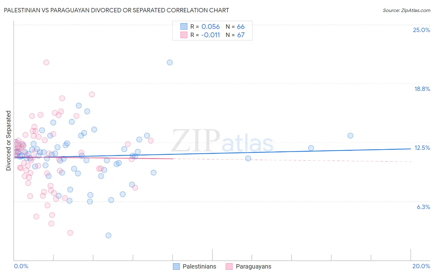 Palestinian vs Paraguayan Divorced or Separated