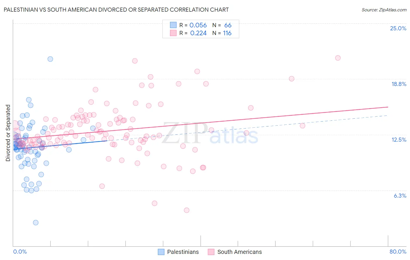 Palestinian vs South American Divorced or Separated