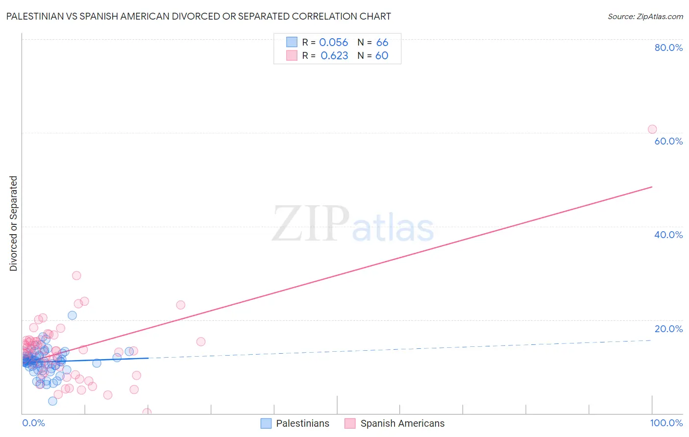 Palestinian vs Spanish American Divorced or Separated