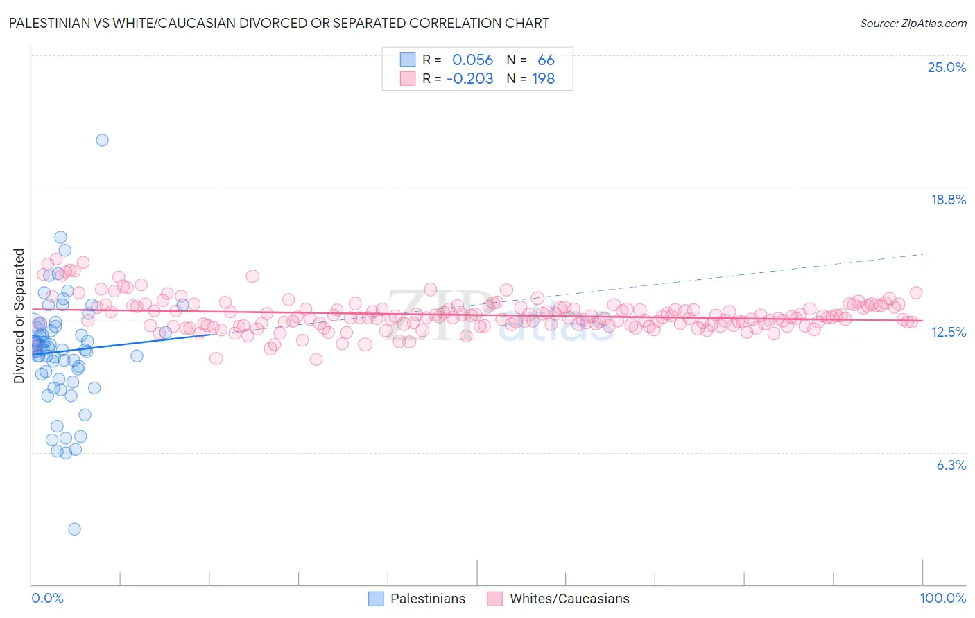 Palestinian vs White/Caucasian Divorced or Separated