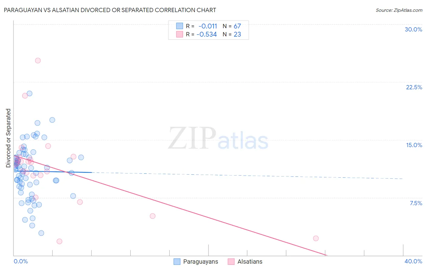 Paraguayan vs Alsatian Divorced or Separated