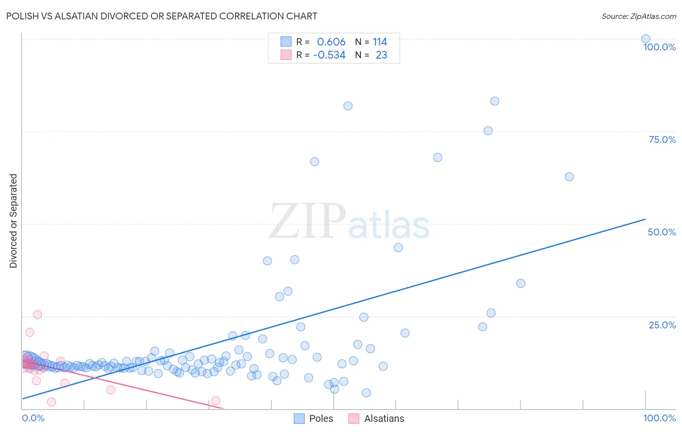 Polish vs Alsatian Divorced or Separated