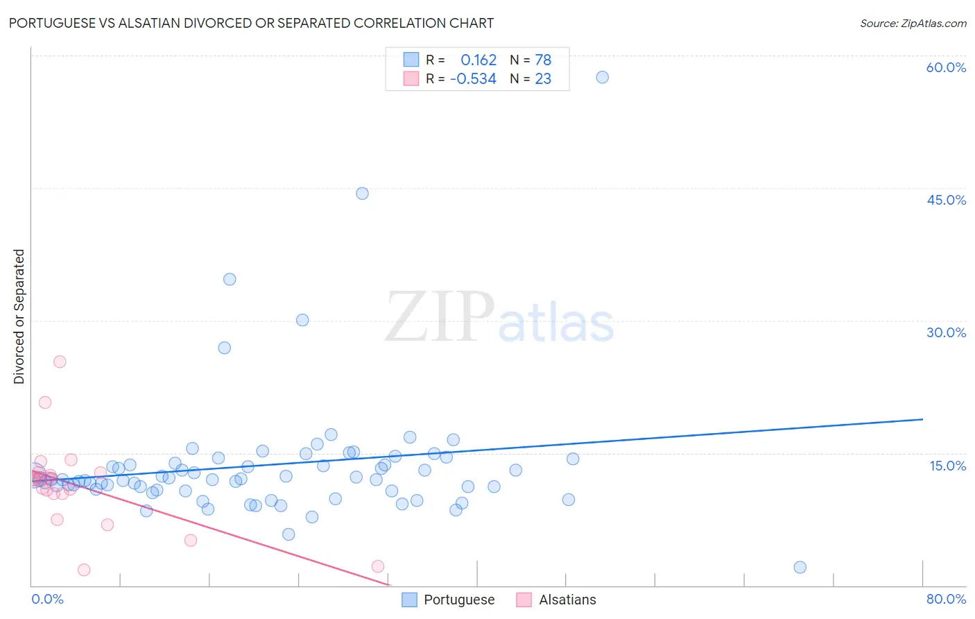 Portuguese vs Alsatian Divorced or Separated