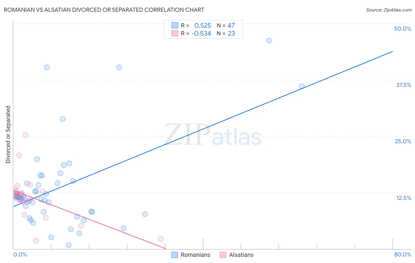 Romanian vs Alsatian Divorced or Separated