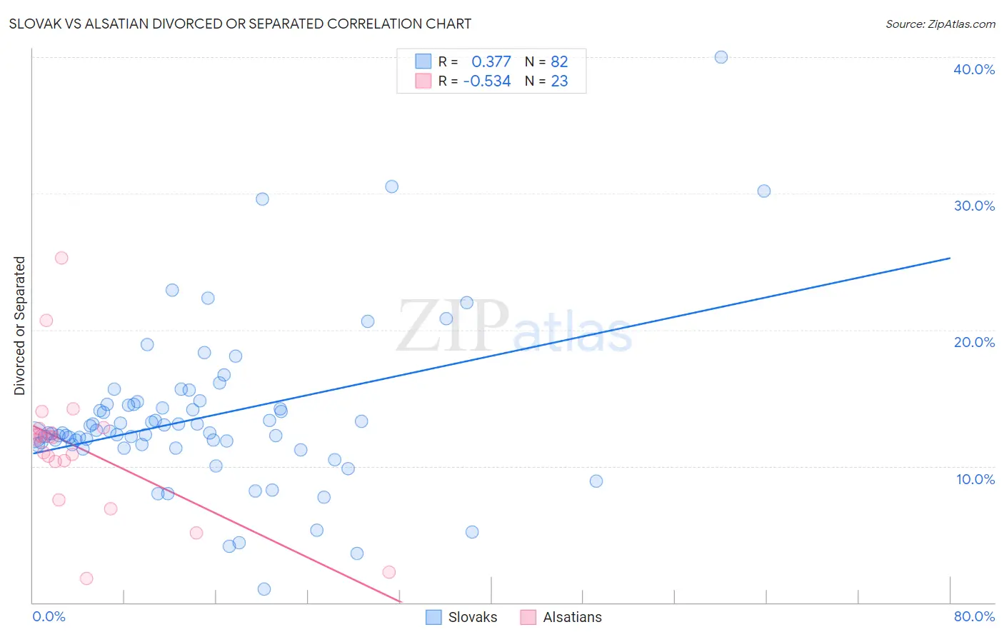 Slovak vs Alsatian Divorced or Separated